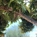 Apartmán Casuzze I Mori Museum Alloggi Di Charme Tra Mare Natura E Tradizione Siciliana Marzamemi